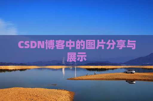 CSDN博客中的图片分享与展示